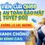 Biểu tượng lá chắn bảo mật Sodo Casino